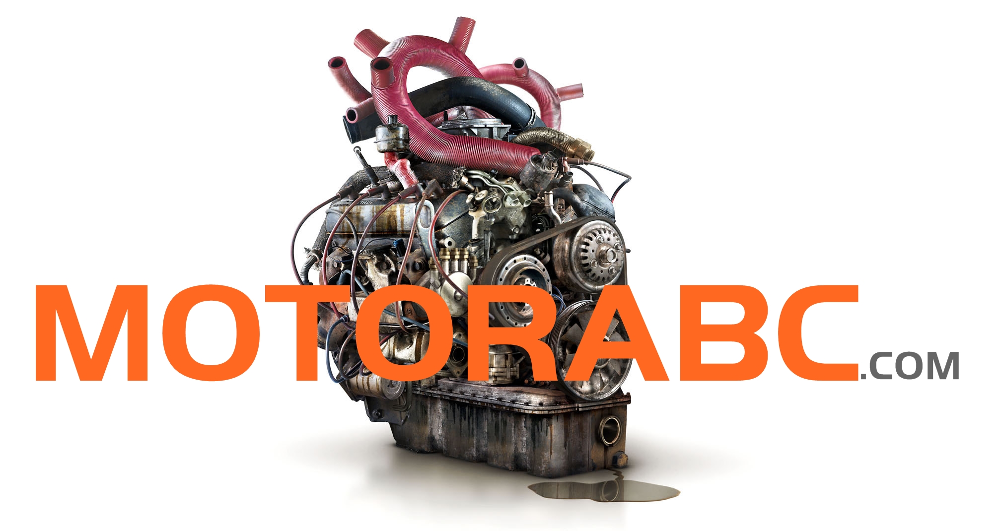 LA WEB DEL MOTOR